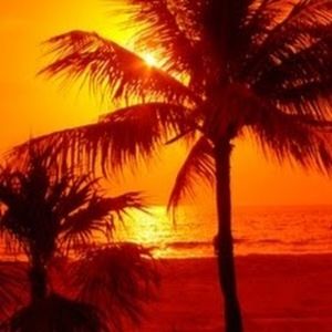 Meet your Posher, Leonor